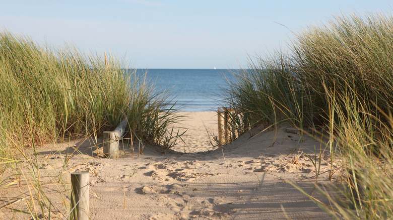 Footprints lead through sand to Sandbanks beach, Poole, Dorset.