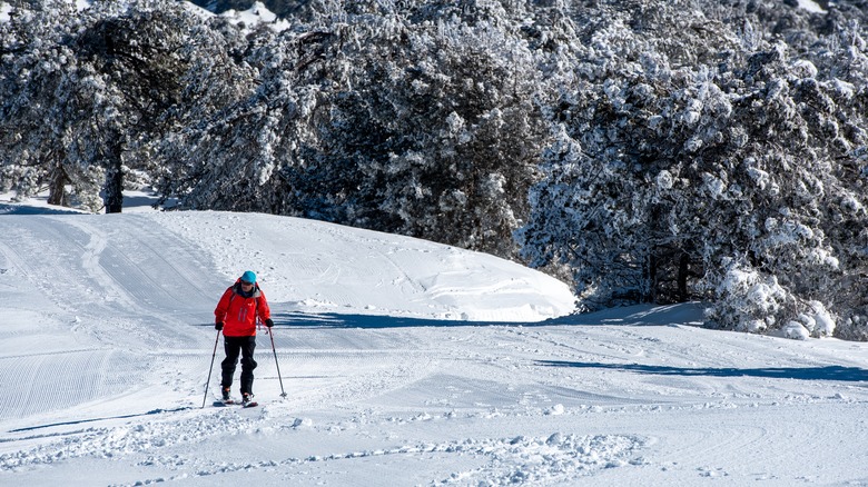 Skier walking in Troodos, Cyprus