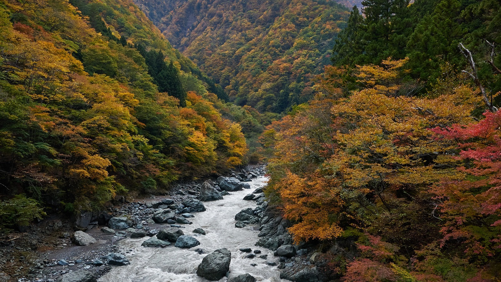 The World's Oldest Hotel Offers A Serene Hot Spring Mountain