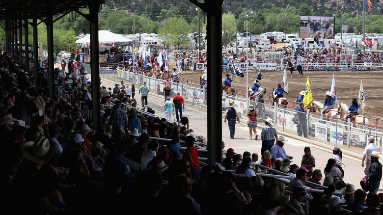 View of the crow at the World's Oldest Rodeo