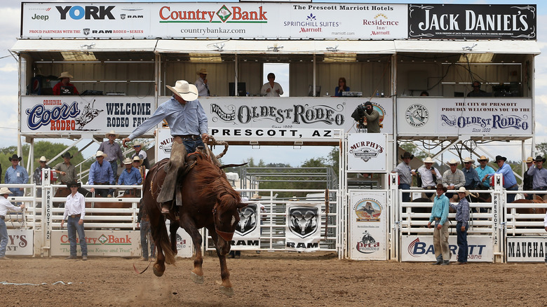 A cowboy at the World's Oldest Rodeo