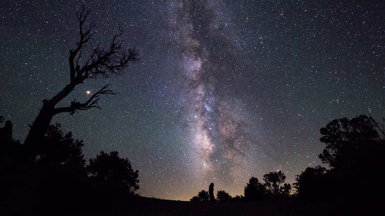 The Milky Way shines in a dark night sky at Grandview Campground, in Inyo National Forest, California.