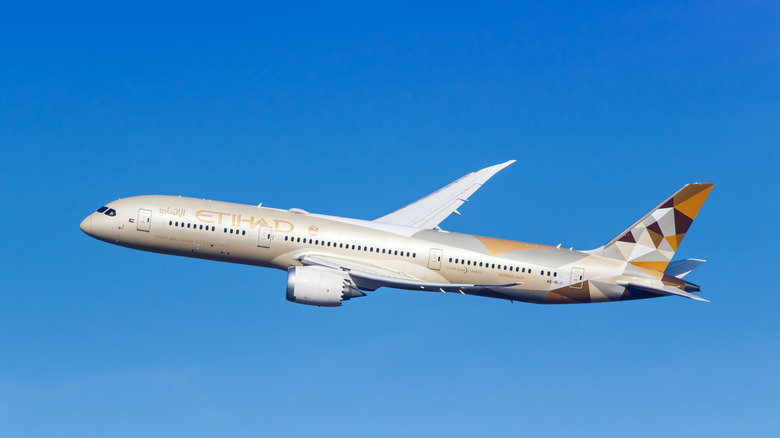 An Etihad Airways plane lands in Berlin, Germany