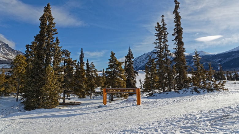 Sign for Carcross Desert in the snow