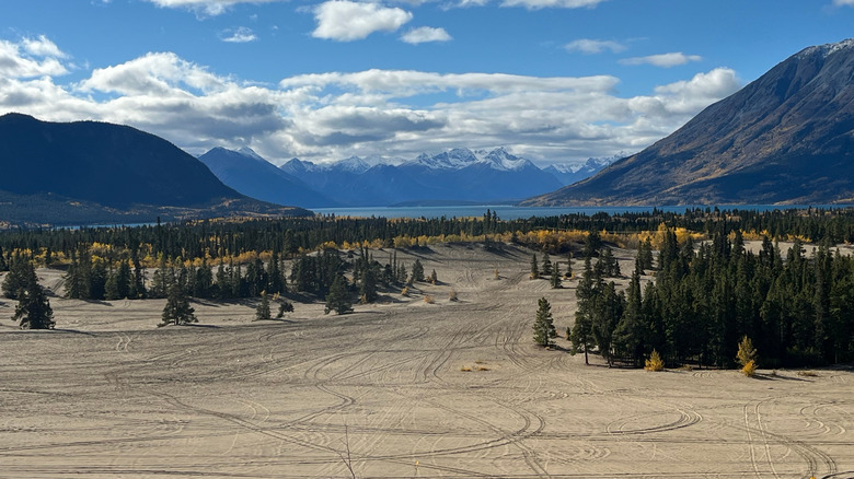 Landscape of Carcross Desert