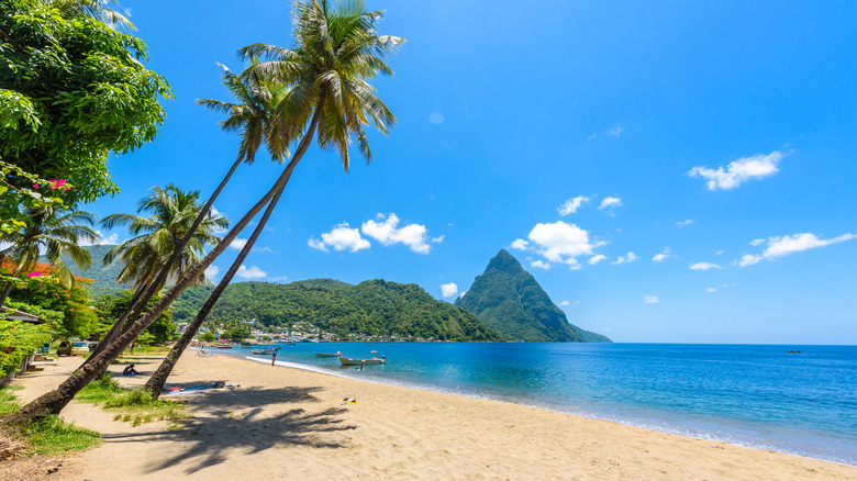 a sandy beach in St. Lucia, with bright turquoise water and the Pitons visible in the distance