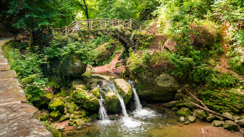 A lush section of the Müllerthal Trail with Schiessentümpel waterfalls in Luxembourg
