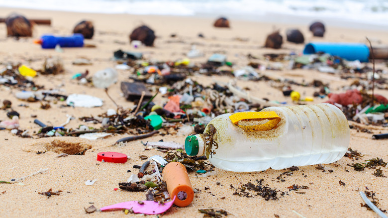Garbage on sea beach, dirty ocean water, environmental pollution, ecological problem, waste management, junk recycle, unsorted rubbish, plastic bag, glass bottle, metal can, trash, refuse pile, litter