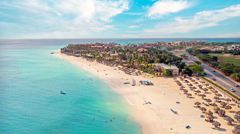 A pristine beachfront in Aruba with umbrellas, chairs, and a long stretch of sand