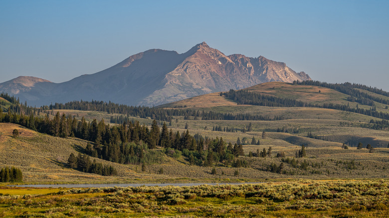 A mountain towers over the Yellowstone National Park