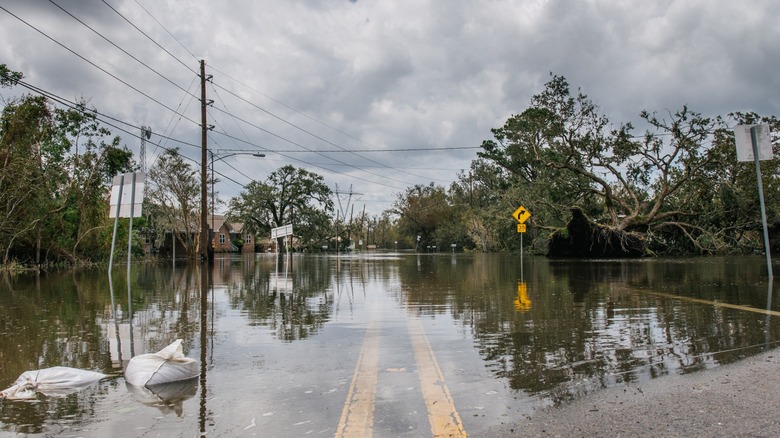 A flooded road in Louisiana