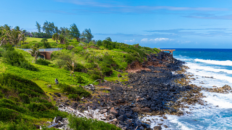 The rugged coastline of Kapa'a, Kauai