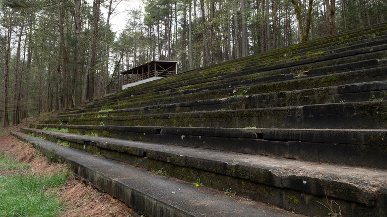 Abandoned and overgrown Occoneechee Speedway grandstands