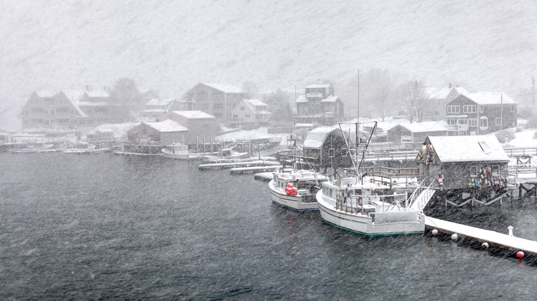Houses and a boat in a snowstorm on Maine's coast