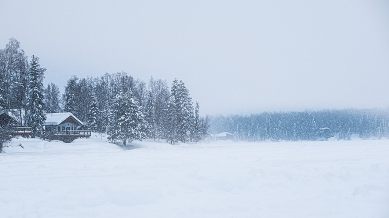 A house and forest in Alaska in the falling snow