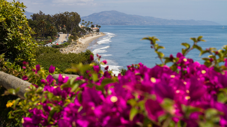 view of beach from balcony
