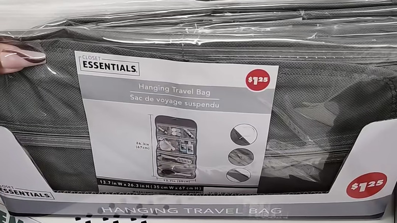 Hanging bag from Dollar Tree