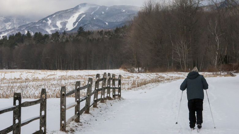 A person skies down a snowy road near forest and mountains in a New England winter