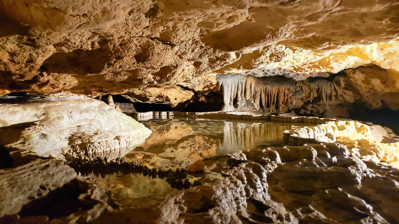 Inside a deep cave with a water pool and large stalagmites at Florida Caverns State Park