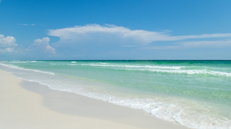 Soft white sand and crystal-clear blue water at Henderson Beach State Park in Florida