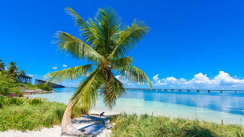 Calusa Beach in Bahia Honda State Park , Florida