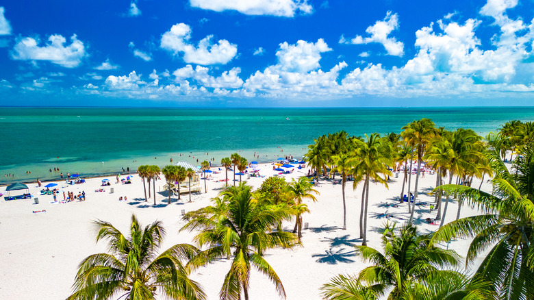 Crandon Park Beach, Florida