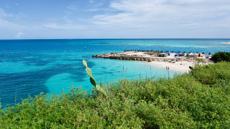 The beach next to Fort Jefferson