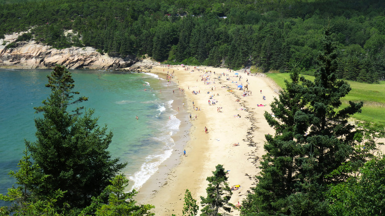 Sand Beach in Maine