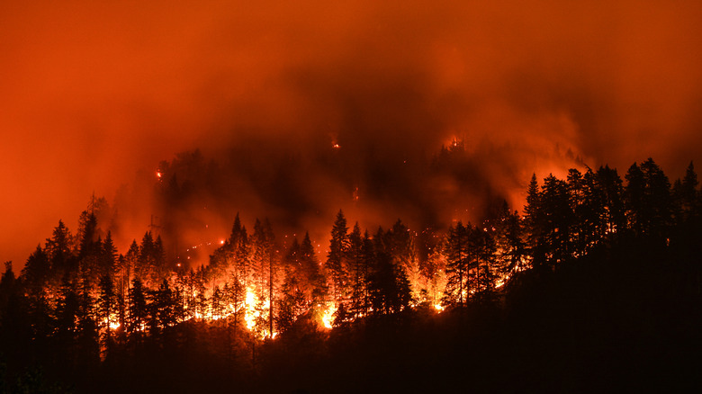 Eagle Creek Wildfire in Columbia River Gorge, Or