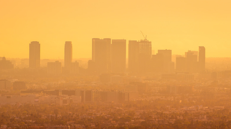 Cityscape of LA during dusk that highlights the smog in the city