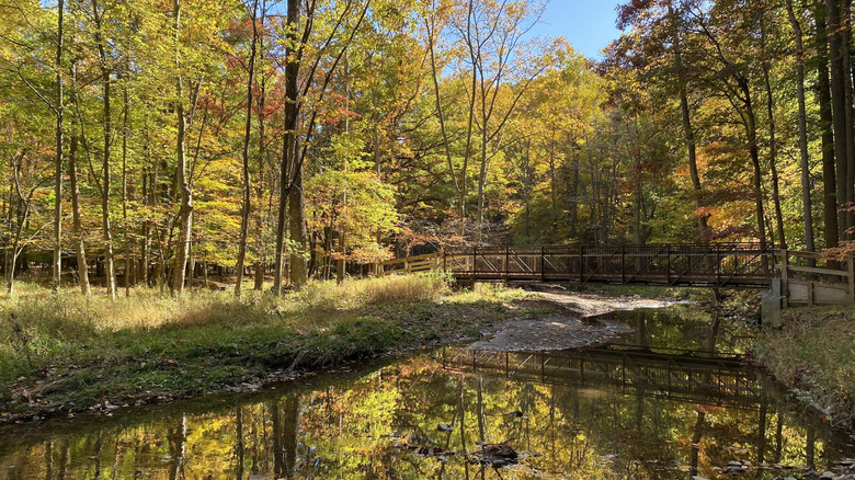 Short wooden and metal bridge over a creek in West Creek Reservation, with autumn trees on either bank, under a blue sky