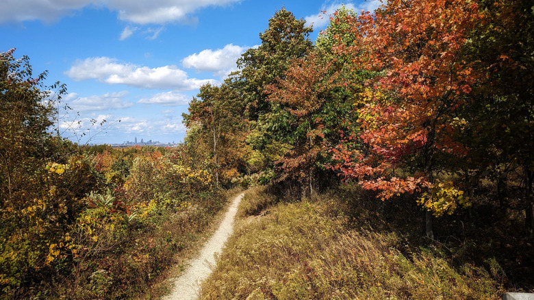 Narrow trail running through green brush surrounded by trees with red, yellow, and green leaves, with the Cleveland skyline in the distance under a cloudy blue sky