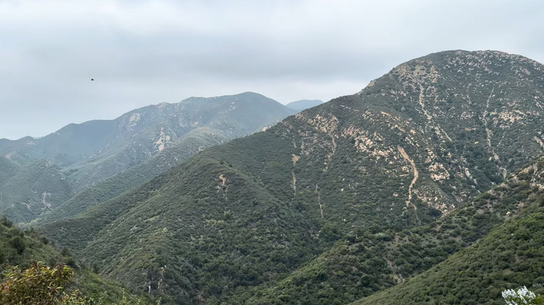 Green hills on the Hot Springs Canyon Trail