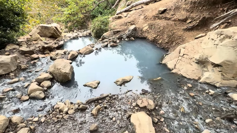 A series of rock-rimmed pools surrounded by greenery and dirt