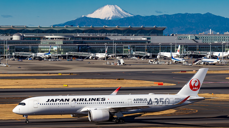 Japan airlines flight in Tokyo