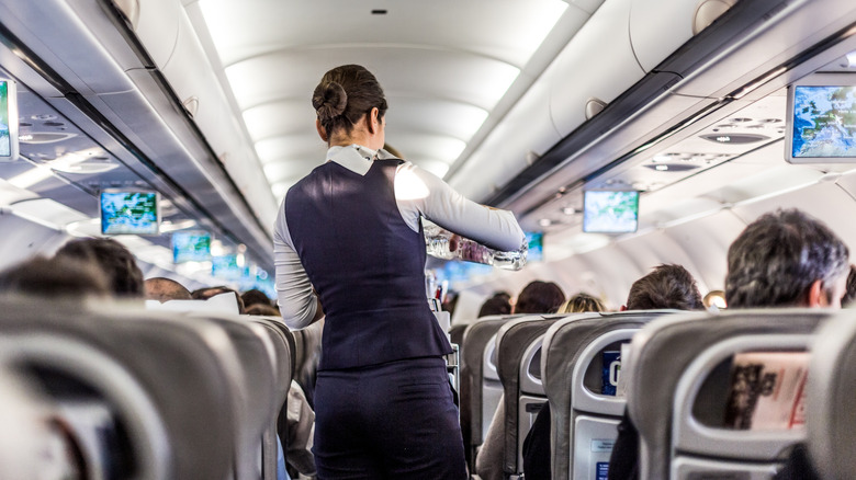 flight attendant in economy section