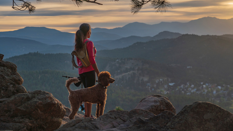 A woman in pink shirt with a brown dog looking out at a mountainous landscape at sunset.