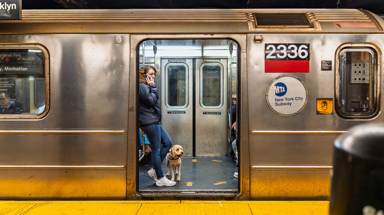 A woman on her phone stands in a subway car with a dog at her feet.