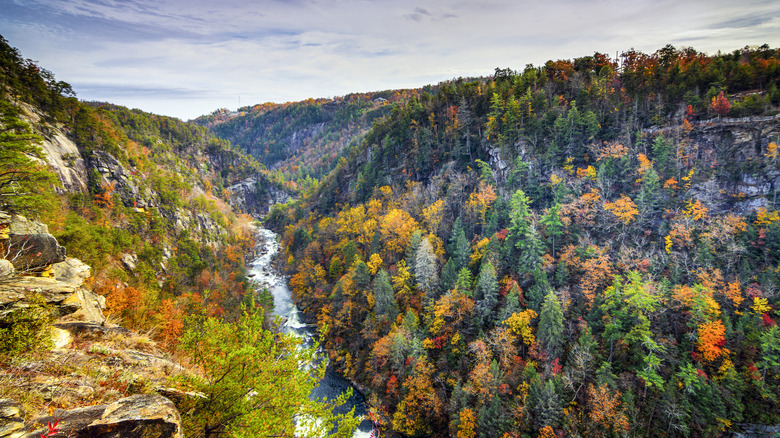 Aerial shot of the Tallulah River and Tallulah Gorge in autumn