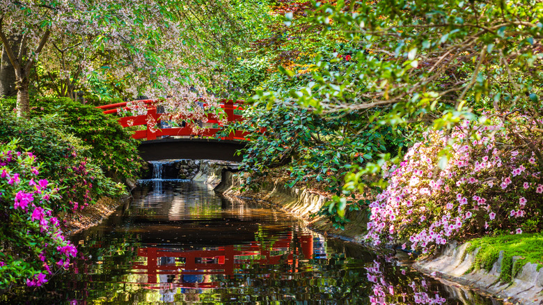 The Japanese Garden at Descanso Gardens in La Cañada Flintridge
