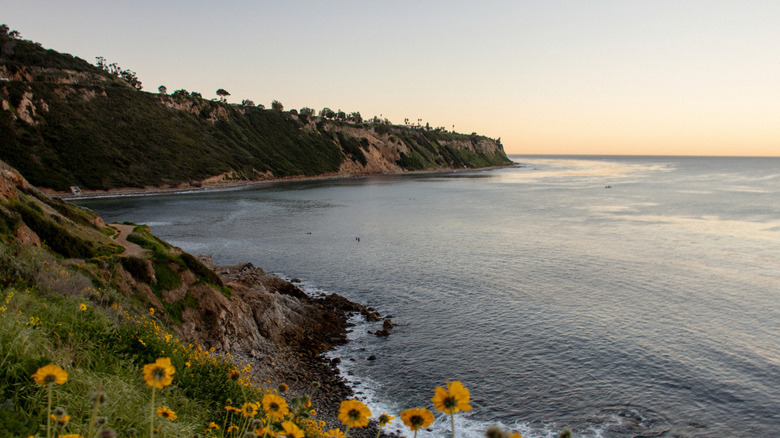 The cliffs of Bluff Cove in Palos Verdes Estates