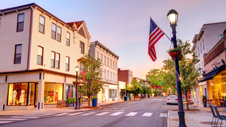 A street in Rye lined by stately buildings, charming lamp posts, and trees