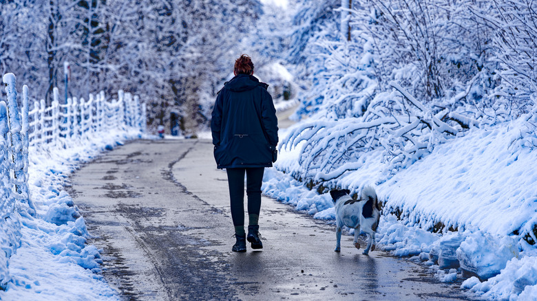 Woman walking her dog through a snowy park in Zurich