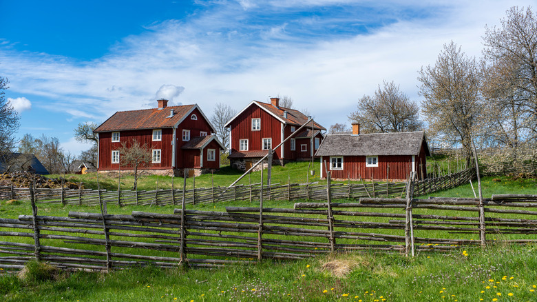 Red barn dairy farm in Smaland, southern Sweden