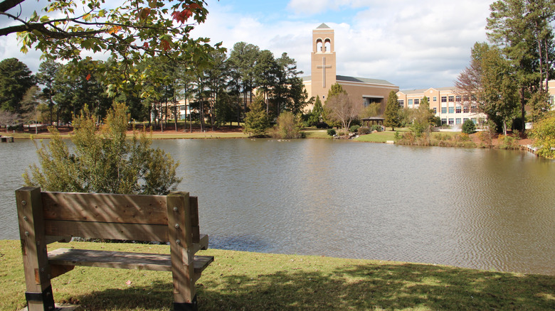 park bench with pond and buildings in the background