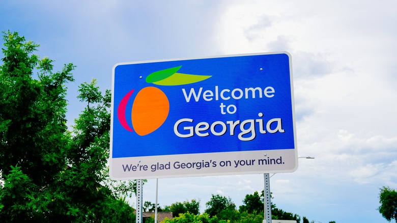 a sign that reads welcome to Georgia -- we're glad Georgia's on your mind