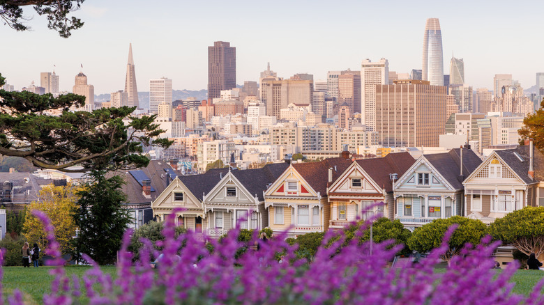 Vintage victorian houses line up on a hill in San Francisco