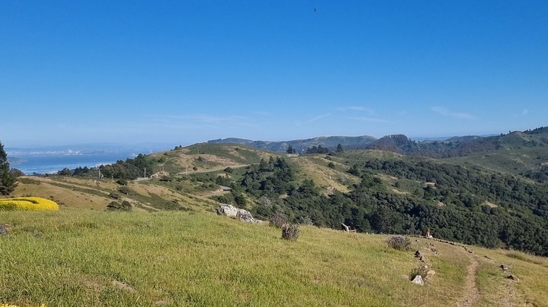 A view across the hills of Marin from the Panoramic Highway