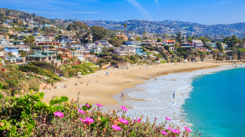 Aerial view of Laguna Beach, California