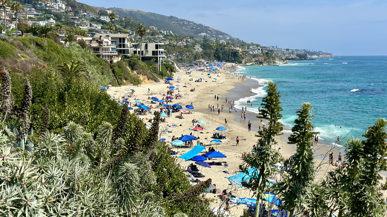 View of Treasure Island Beach, California